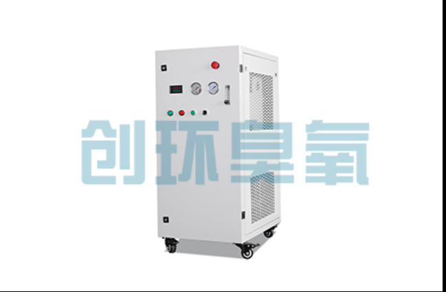 大城工厂化养鲈必看:2026年臭氧发生器替代传统消毒的最新方案