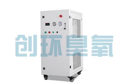 大城石斑鱼养殖水质调控完整指南：臭氧发生器配置与操作步骤