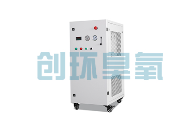 大城比传统换水更高效？臭氧发生器在石斑鱼养殖中的水质净化原理解析